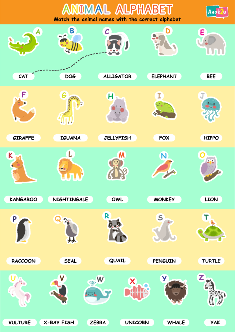 activity-match-the-animal-names-with-the-correct-alphabet